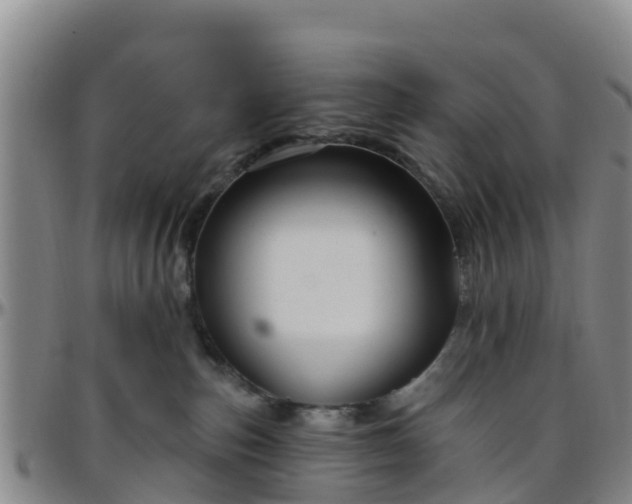 X0000096450187200801311458