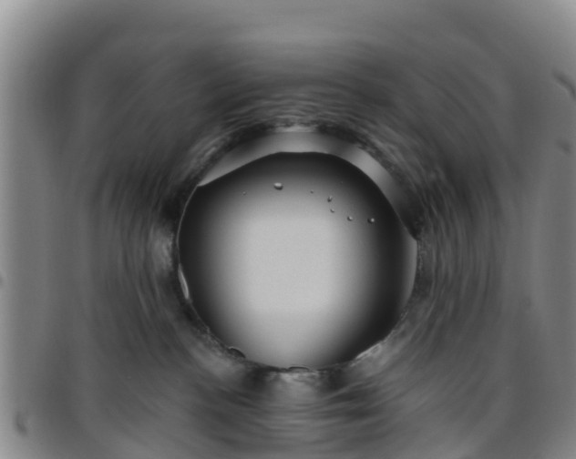 X0000096450188200801311458