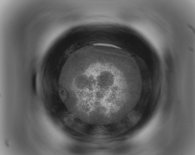 X0000096450189200801311458