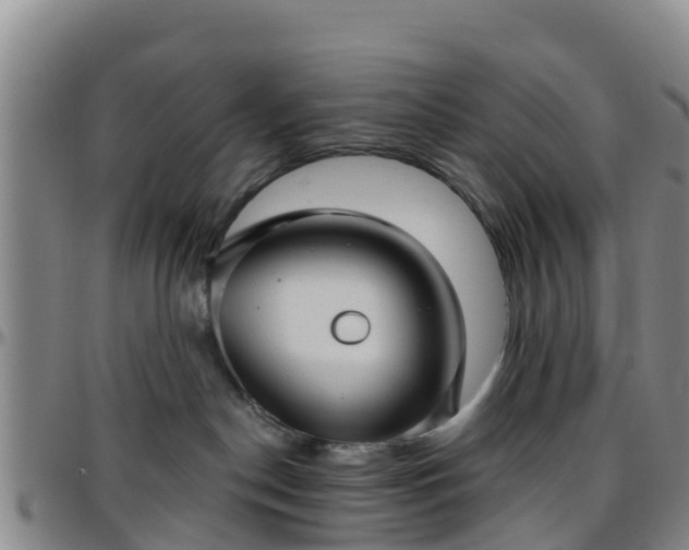 X0000096450190200801311458