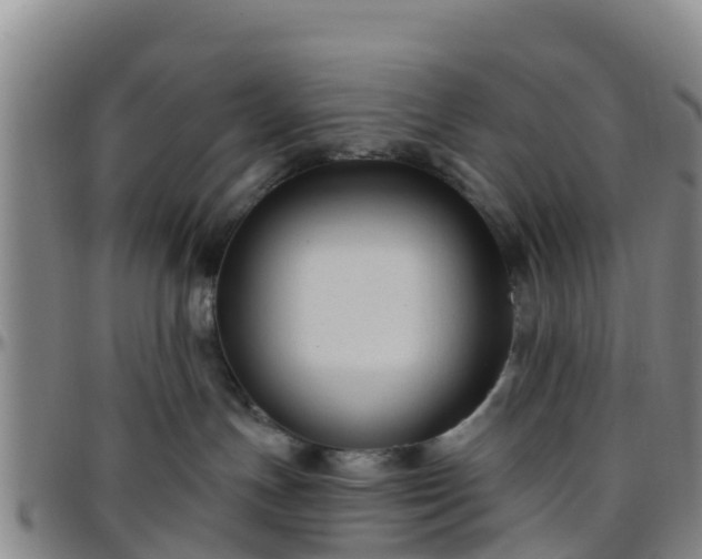 X0000096450191200801311458