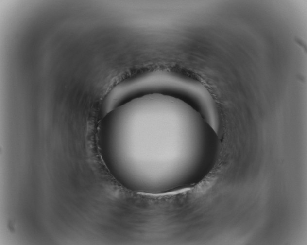 X0000096450192200801311458