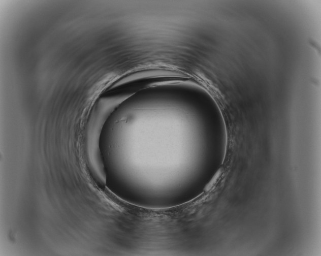 X0000096450193200801311458