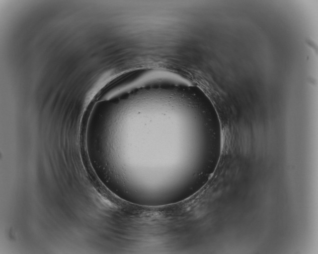 X0000096450195200801311458