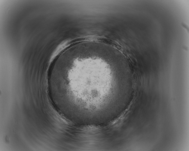 X0000096450198200801311458