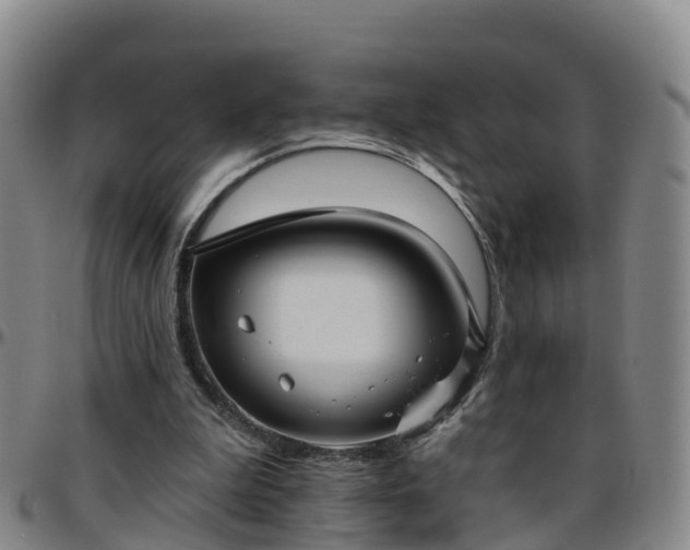 X0000096450199200801311458