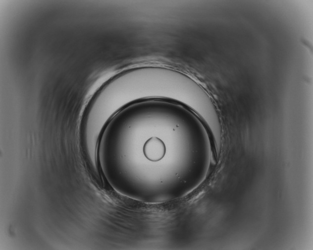 X0000096450200200801311458