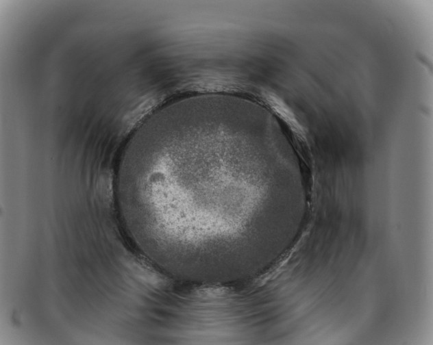 X0000096450202200801311458