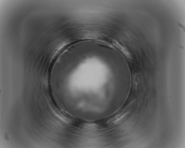 X0000096450203200801311458