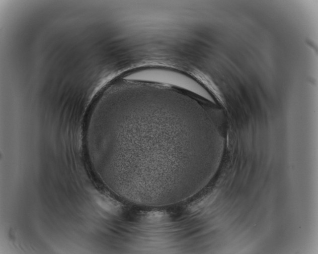 X0000096450204200801311458