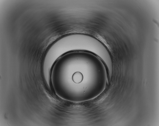 X0000096450205200801311458