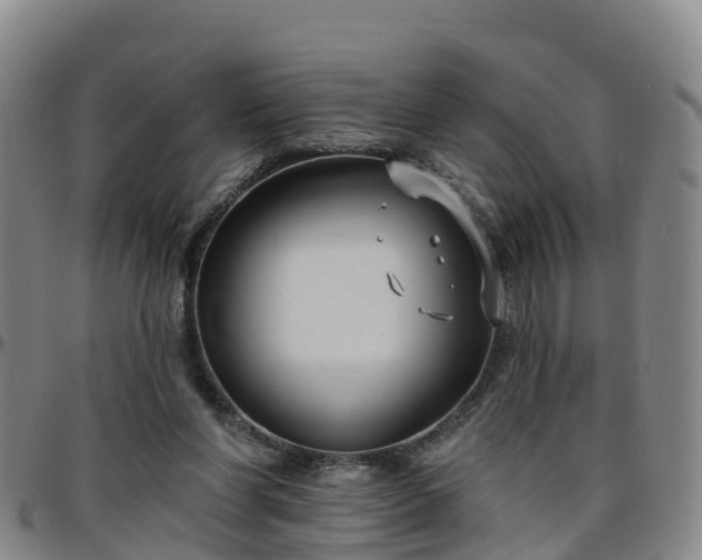 X0000096450206200801311458