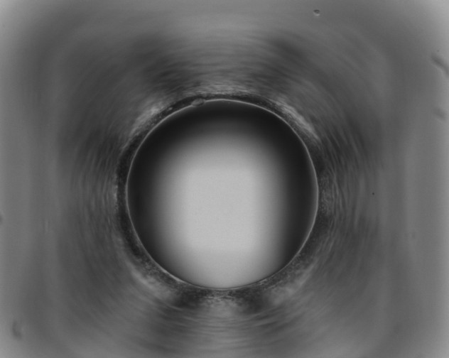 X0000096450207200801311458