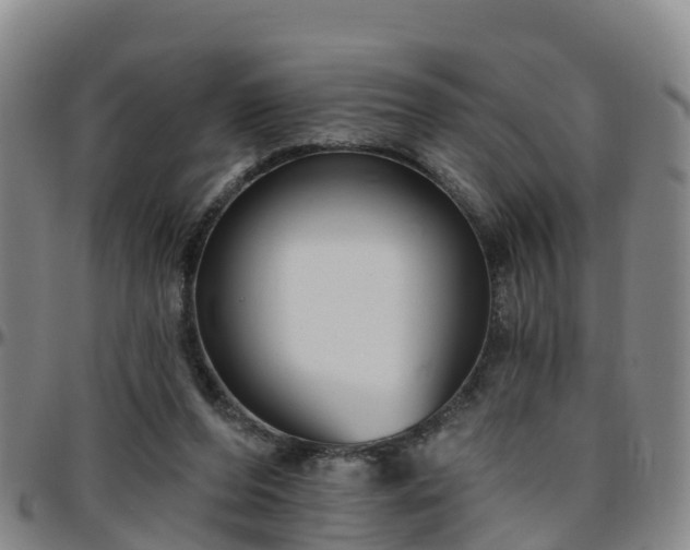 X0000096450208200801311458