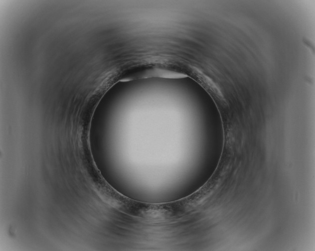 X0000096450209200801311458