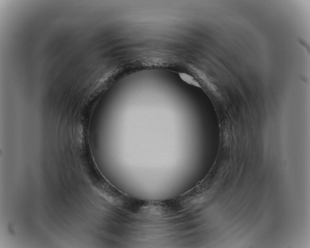 X0000096450211200801311458