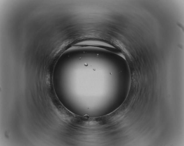 X0000096450212200801311458