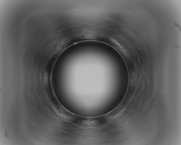 X0000096450213200801311458