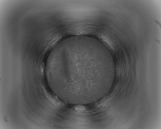 X0000096450214200801311458