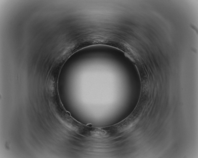 X0000096450215200801311458