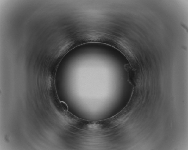 X0000096450216200801311458