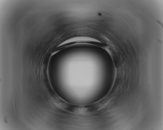 X0000096450217200801311458