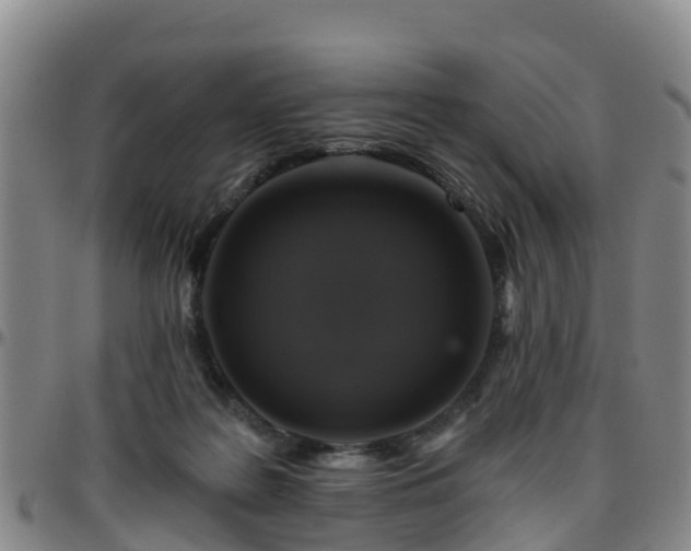 X0000096450219200801311457