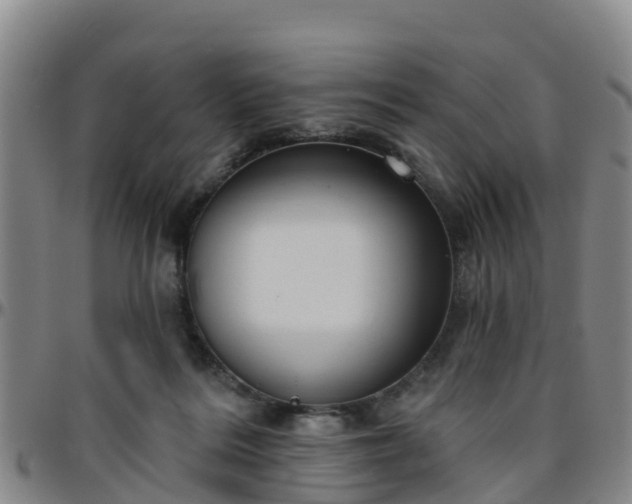 X0000096450220200801311457