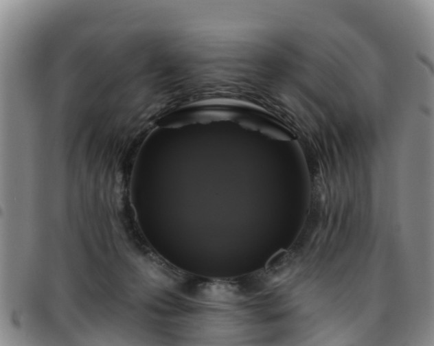 X0000096450223200801311457