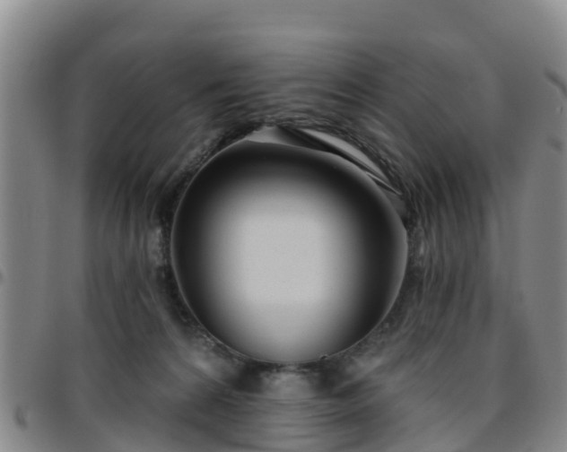 X0000096450224200801311457