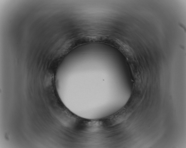 X0000096450225200801311457