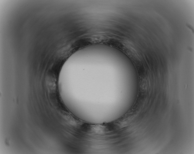 X0000096450226200801311457