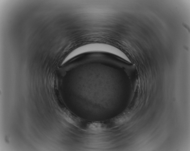 X0000096450227200801311457