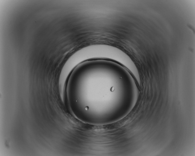 X0000096450228200801311457