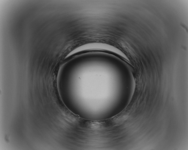 X0000096450229200801311457