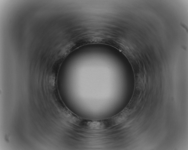 X0000096450230200801311457