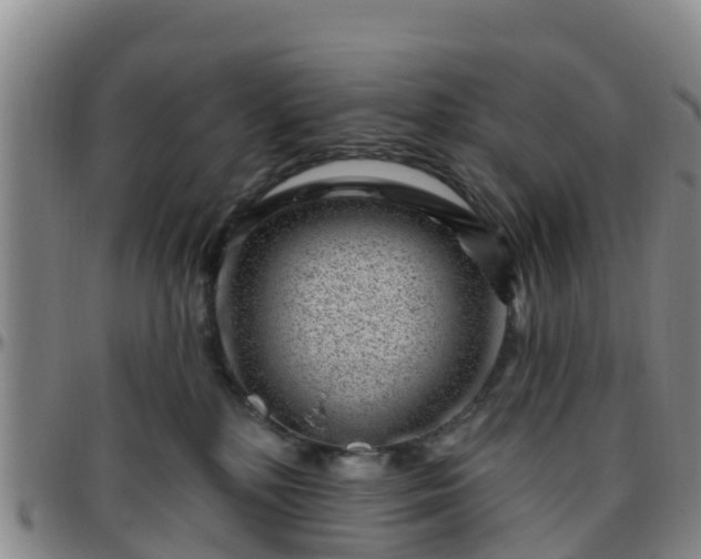 X0000096450232200801311457