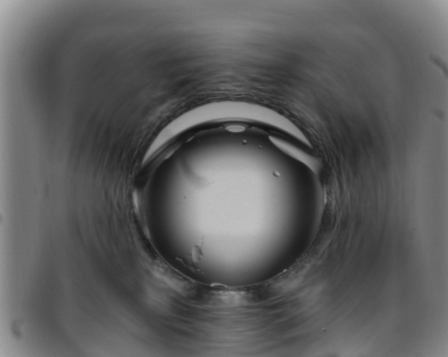 X0000096450233200801311457