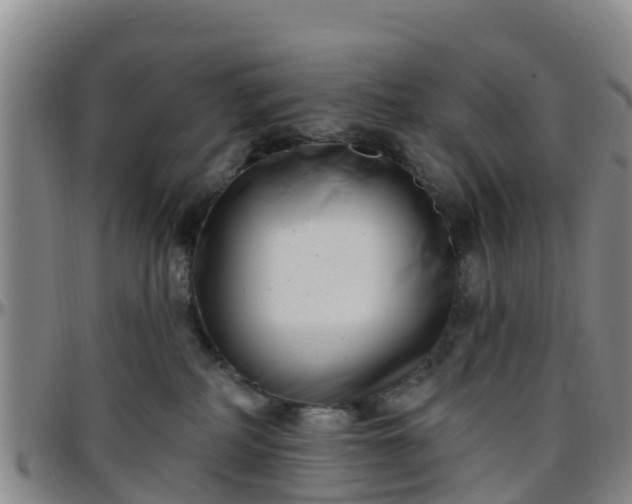 X0000096450234200801311457