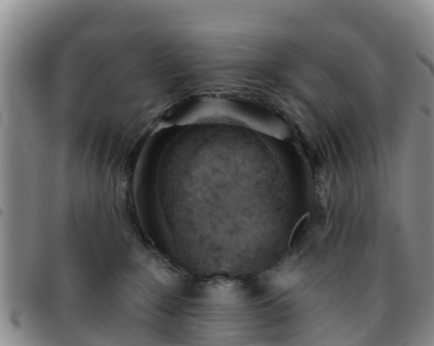 X0000096450235200801311457