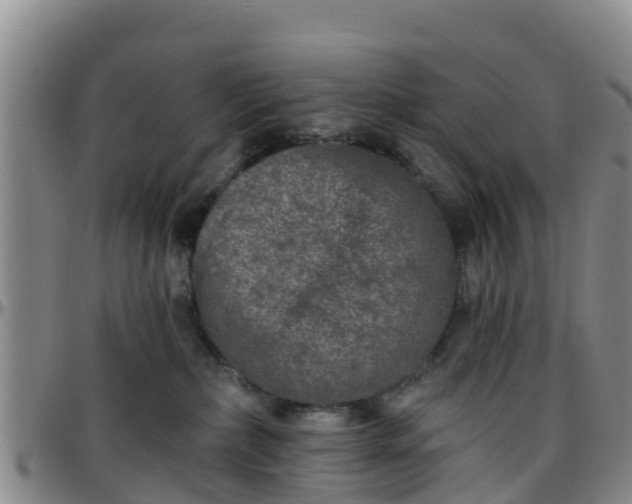 X0000096450236200801311457