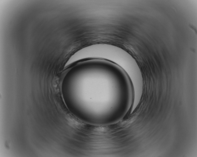 X0000096450237200801311457