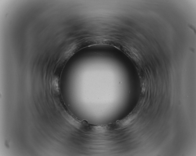 X0000096450238200801311457