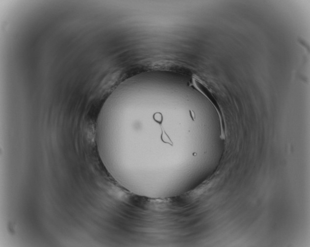 X0000096450240200801311457