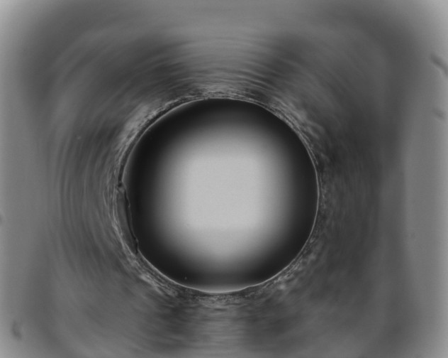 X0000096450241200801311457