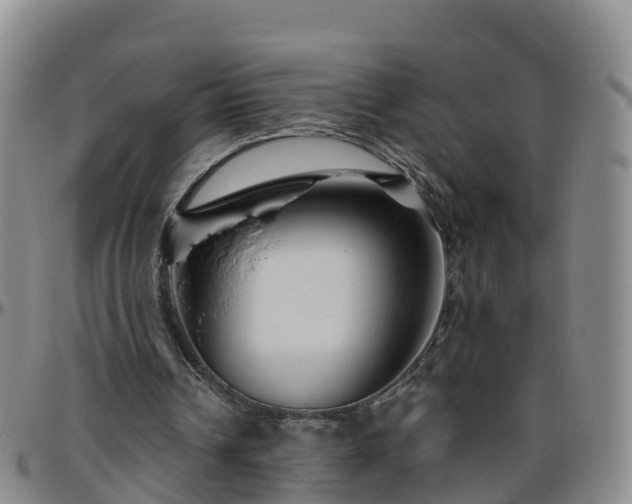 X0000096450242200801311457