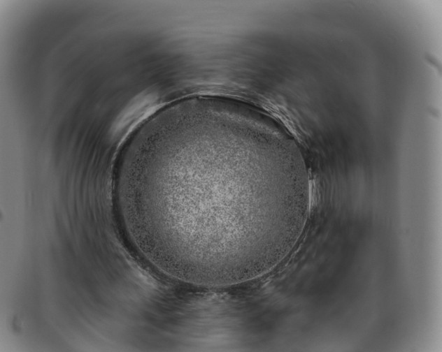 X0000096450243200801311457