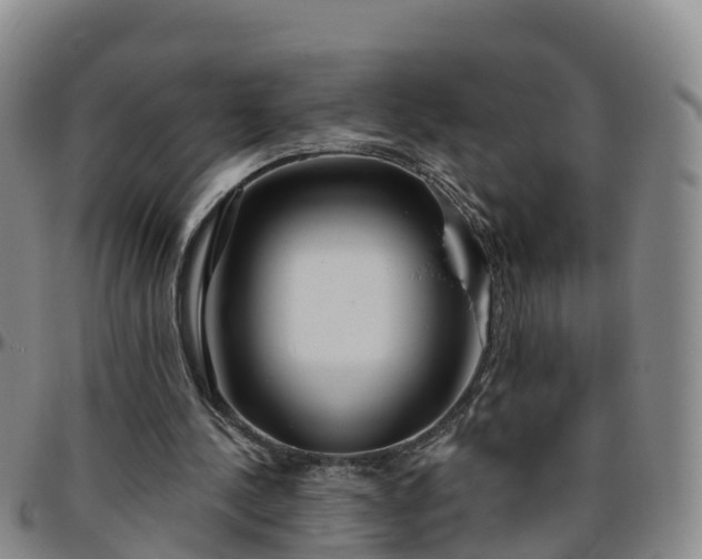 X0000096450244200801311457