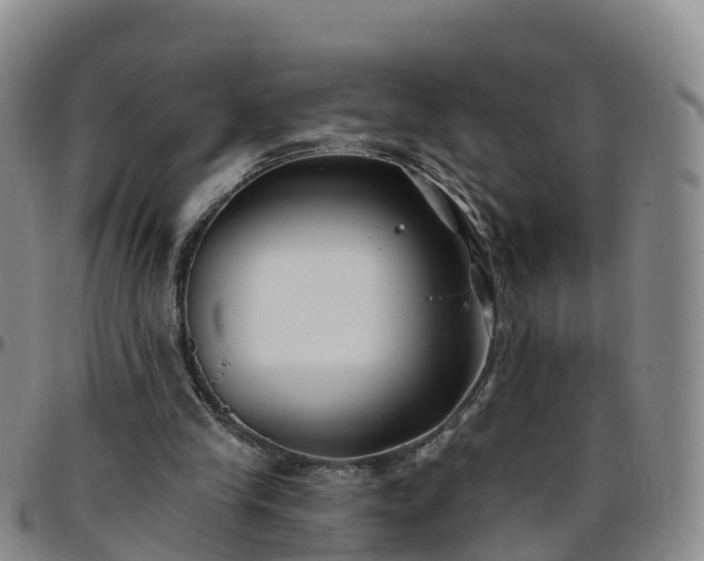 X0000096450245200801311457