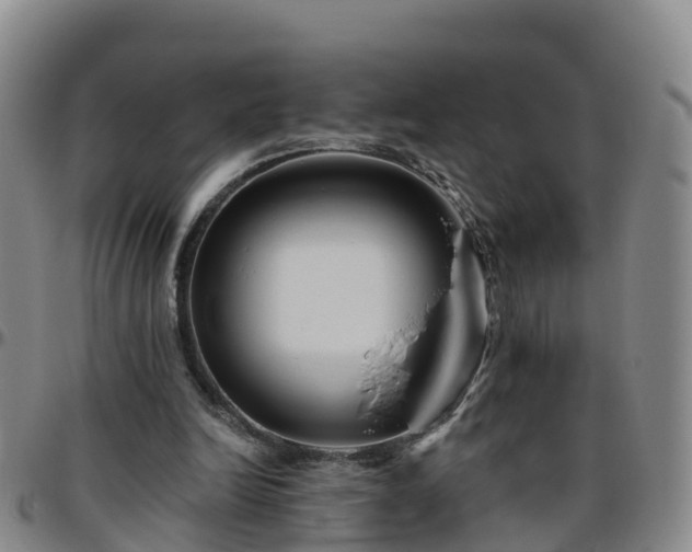 X0000096450246200801311457